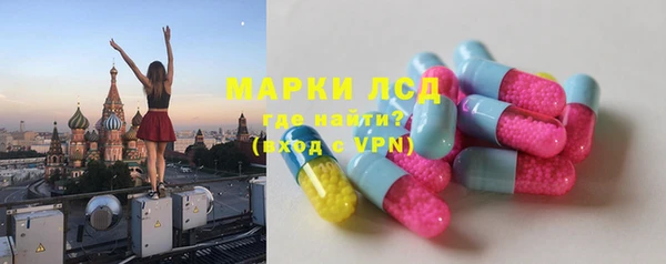 спиды Бородино