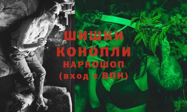 спиды Бородино