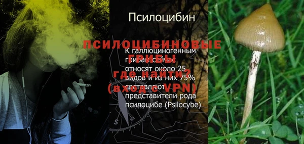 mix Белокуриха