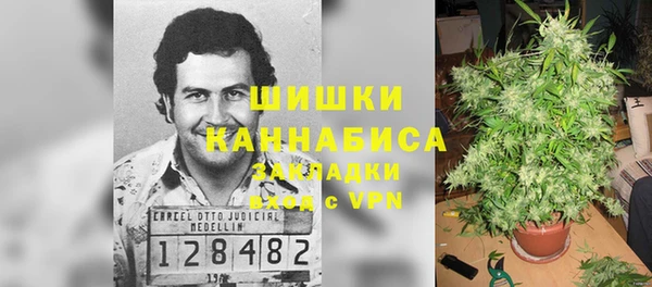 спиды Бородино