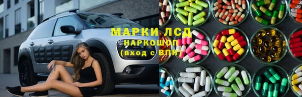 спиды Бородино